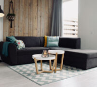 living-room sofa clean