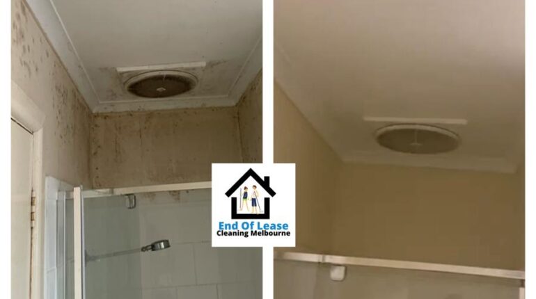 mould clean before/after