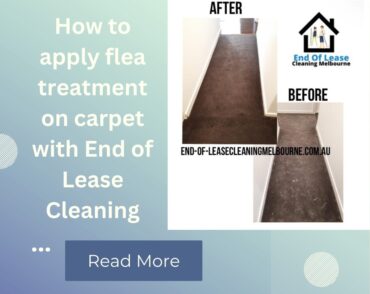 how to apply flea treatment