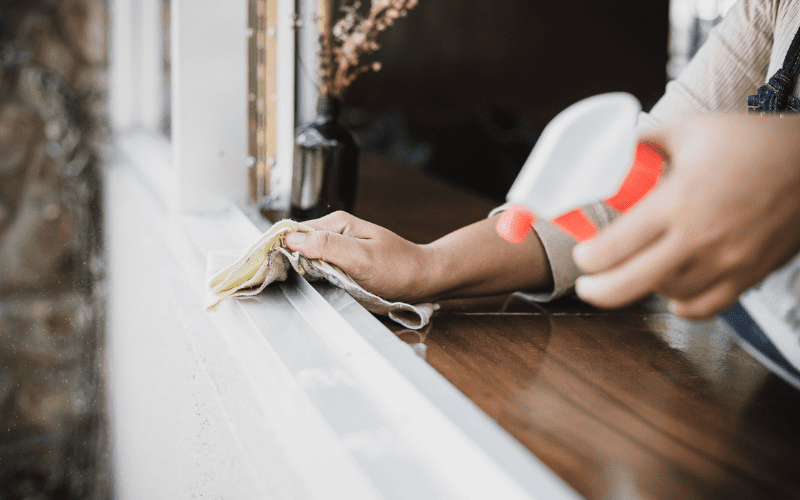 Thorough Window Cleaning Tips