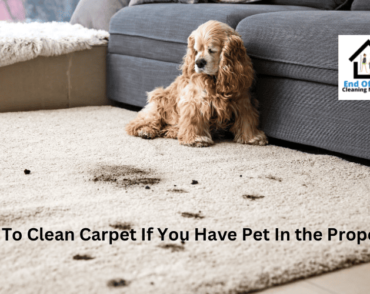 How To Clean Carpet If You Have Pet In the Property?
